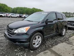 Salvage cars for sale from Copart Windsor, NJ: 2011 Honda CR-V EX