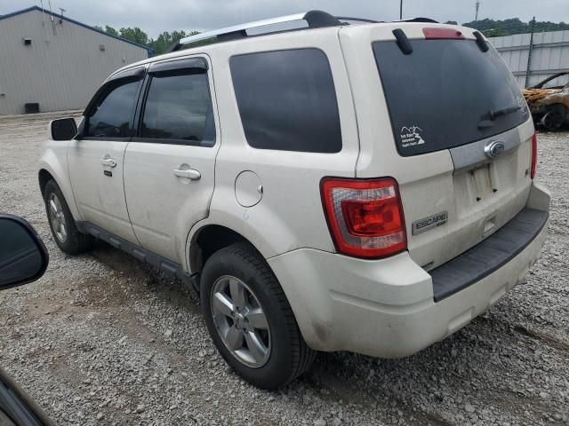 2011 Ford Escape Limited