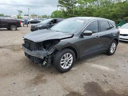 Salvage cars for sale at Lexington, KY auction: 2020 Ford Escape SE