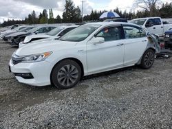 Salvage cars for sale at Graham, WA auction: 2017 Honda Accord Hybrid EXL