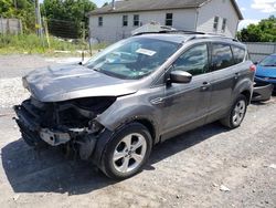 Salvage cars for sale at York Haven, PA auction: 2013 Ford Escape SE