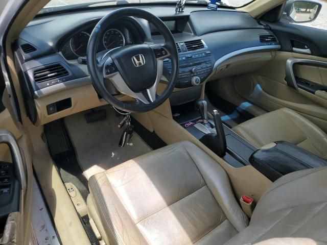 2009 Honda Accord EXL