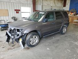 Ford Escape xlt salvage cars for sale: 2007 Ford Escape XLT