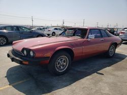 Salvage cars for sale at Sun Valley, CA auction: 1979 Jaguar XJS