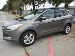 Salvage cars for sale at Rancho Cucamonga, CA auction: 2014 Ford Escape SE