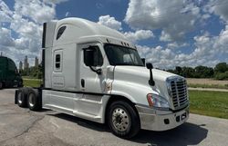Salvage Trucks for sale at auction: 2014 Freightliner Cascadia 125