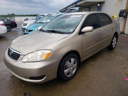 Salvage cars for sale at Memphis, TN auction: 2006 Toyota Corolla CE