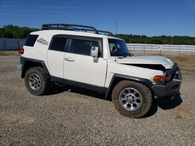 2013 Toyota FJ Cruiser