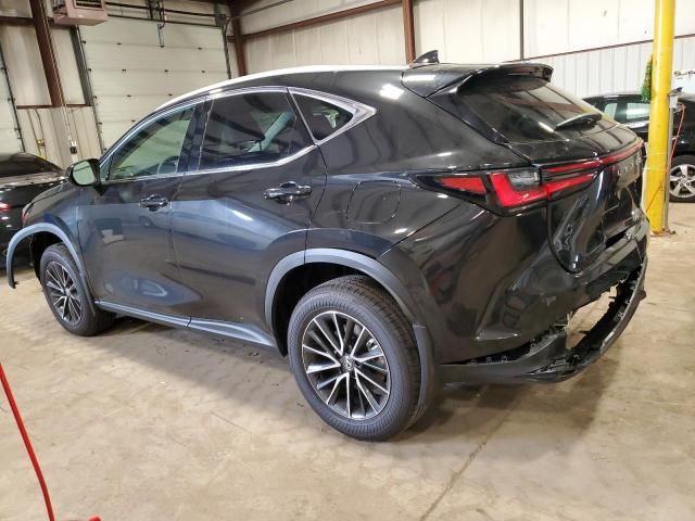 2024 Lexus NX 350 Premium