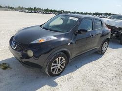 Salvage cars for sale at Arcadia, FL auction: 2011 Nissan Juke S