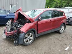 Salvage cars for sale at West Mifflin, PA auction: 2013 Ford Escape SE