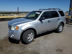 Salvage cars for sale from Copart Albuquerque, NM: 2010 Ford Escape XLT