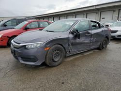 Salvage cars for sale at Louisville, KY auction: 2016 Honda Civic LX