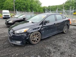 Salvage cars for sale from Copart Finksburg, MD: 2016 Ford Focus SE