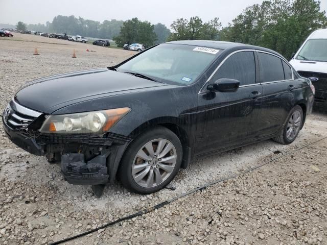 2011 Honda Accord EXL