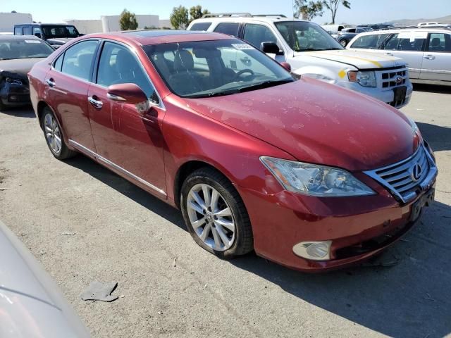 2010 Lexus ES 350