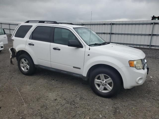 2008 Ford Escape HEV