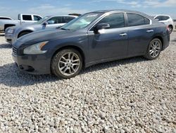 Salvage cars for sale at Temple, TX auction: 2010 Nissan Maxima S