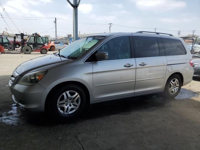 2005 Honda Odyssey EXL