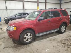Salvage cars for sale at Pennsburg, PA auction: 2011 Ford Escape XLT