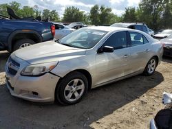 Chevrolet Malibu ls salvage cars for sale: 2013 Chevrolet Malibu LS