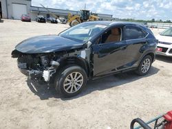 Vehiculos salvage en venta de Copart Harleyville, SC: 2021 Lexus NX 300H Base