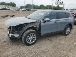 Salvage cars for sale at Columbus, OH auction: 2024 Honda CR-V EX