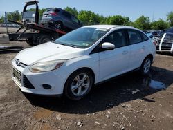 Ford Vehiculos salvage en venta: 2013 Ford Focus SE