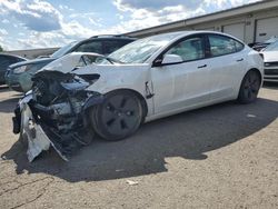 2021 Tesla Model 3 en venta en Louisville, KY