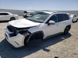 Salvage cars for sale from Copart Adelanto, CA: 2019 Toyota Rav4 XLE