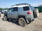 2010 Toyota FJ Cruiser