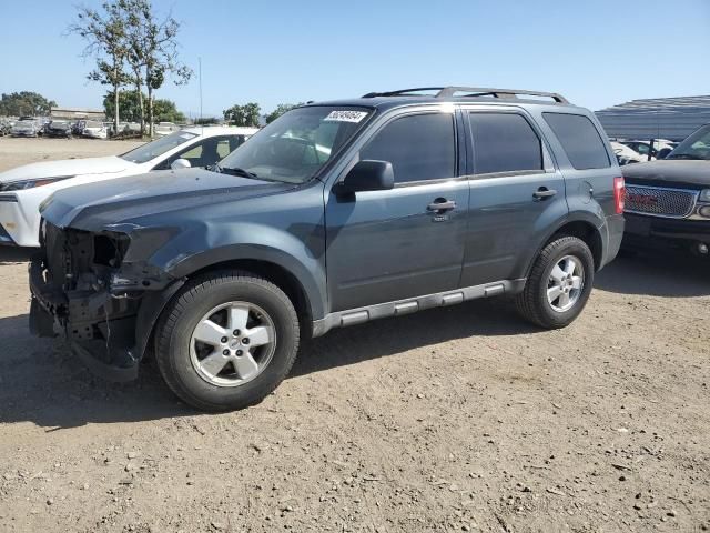 2009 Ford Escape XLT