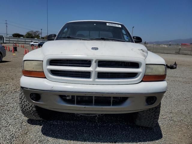 2000 Dodge Dakota Quattro