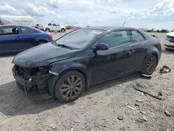 Salvage cars for sale from Copart Earlington, KY: 2012 KIA Forte SX