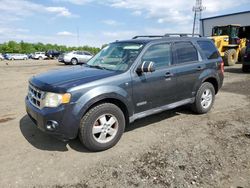 Salvage cars for sale from Copart Windsor, NJ: 2008 Ford Escape XLT