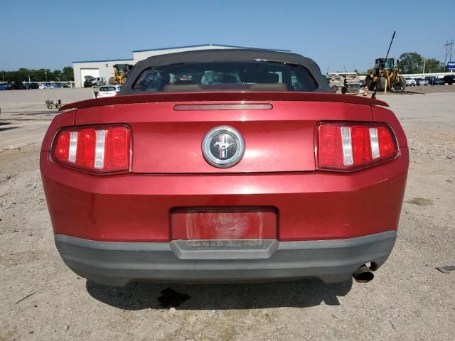 2010 Ford Mustang