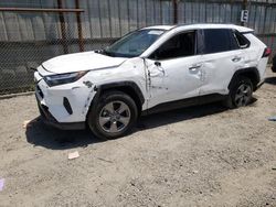 Salvage cars for sale at Los Angeles, CA auction: 2023 Toyota Rav4 XLE