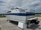 1987 Bayliner Marine Lot