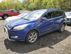 Salvage cars for sale at Marlboro, NY auction: 2013 Ford Escape SEL