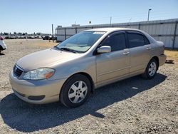 Salvage cars for sale from Copart Sacramento, CA: 2006 Toyota Corolla CE