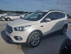 Salvage cars for sale at Jacksonville, FL auction: 2019 Ford Escape SEL