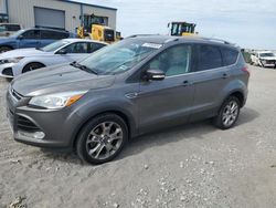 Salvage cars for sale at Earlington, KY auction: 2014 Ford Escape Titanium