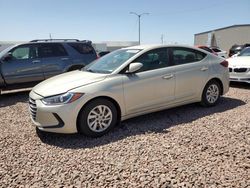Salvage cars for sale at Phoenix, AZ auction: 2017 Hyundai Elantra SE
