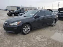 Salvage cars for sale at Haslet, TX auction: 2012 Honda Accord EX