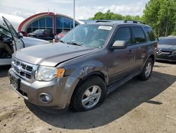 Salvage cars for sale from Copart East Granby, CT: 2011 Ford Escape XLT