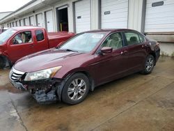 Salvage cars for sale at Louisville, KY auction: 2011 Honda Accord LXP