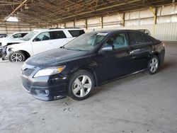 Salvage cars for sale at Phoenix, AZ auction: 2011 Toyota Camry Base