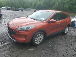 Vehiculos salvage en venta de Copart Marlboro, NY: 2020 Ford Escape SE