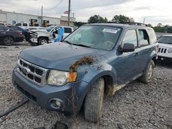 Ford salvage cars for sale: 2011 Ford Escape XLT