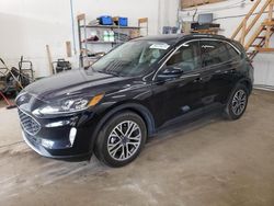 Salvage cars for sale at Ham Lake, MN auction: 2020 Ford Escape SEL